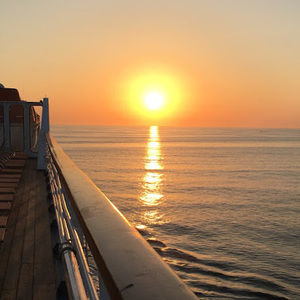 Meet your Posher, Rose